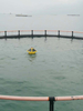 Probest PB -060-AY Monitoreo de la calidad del agua del lago de boyas Monitoreo en tiempo real de la calidad del agua, temperatura, PH, conductividad, oxígeno disuelto y turbidez.